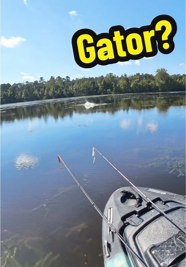 Kayak Fishing Adventures: Encountering Alligators