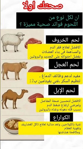 أسرار أنواع اللحوم وفوائدها المدهشة لصحتك | هتتفاجئ بالفرق بين لحم الخروف والعجل والإبل والكوارع!"