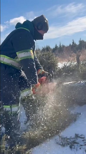 Bûcher en QUÉBECOIS! #husqvarna #262xp #chainsaw #woodworking #winter #quebec