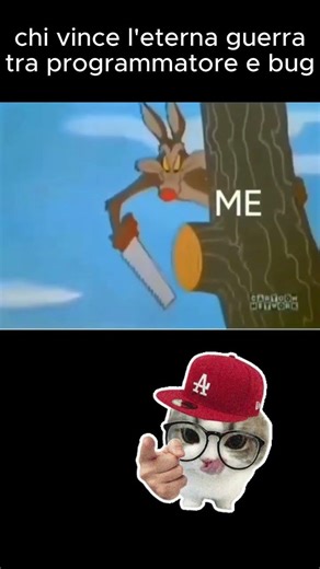 dev vs bug #developerlife #memes #coding #perte #python
