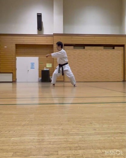 【空手 形】鉄騎初段/ナイハンチ立ち ゆっくり動くのも良い練習です #空手 #形 #松濤館流 #鉄騎初段 #ナイハンチ #karate #kata #tekki #naihanchi