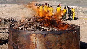 Author Spotlight: On-Site Biochar Production for Woody Debris Incineration in Forestry