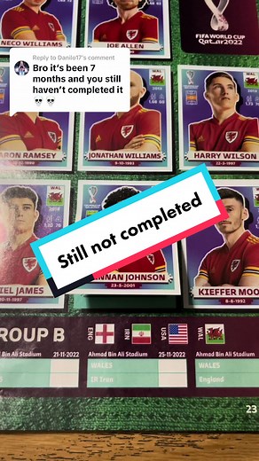 Replying to @Danilo17 still not completed #worldcup2022 #qatar2022 #worldcup #paniniamerica #worldcupalbum #fyp #foryou #viral