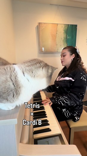 Tetris and Cardi B Piano Mashup