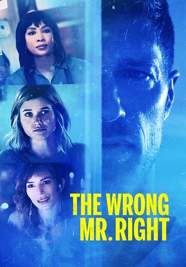 The Wrong Mr. Right (2021)