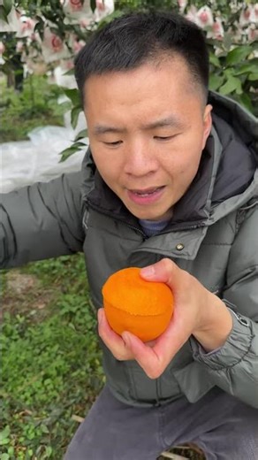 chaina amazing food video