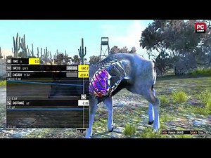 Cabela's Big Game Hunter Pro Hunts Gameplay || Full HD