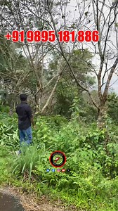 782: | Swarga Real Estate & Travelling