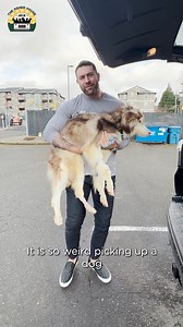 52M views · 2.4M reactions | Rocky's condition was the worst I've ever seen. He was given almost no chance of survival. Watch him walk on grass for the first time in his life ❤️ | The Asher House | Facebook