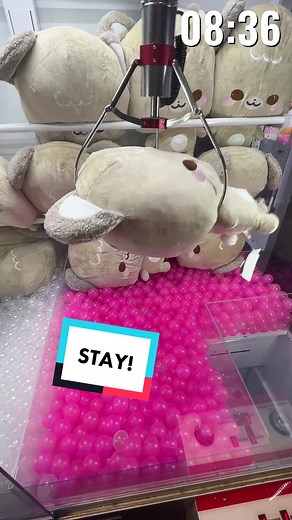 12 MINUTE ARCADE CHALLENGE! #clawmachine #winning #arcadegames #arcadehacks #clawcraziness #clawcrazy #onlinearcade #gaming #keymaster #coinpusher #fyp