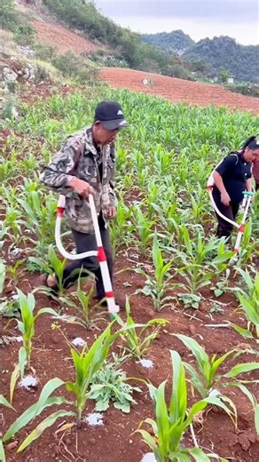 The Surprisingly Simple Tool That Makes Fertilizing Corn Fields Faster and Easier