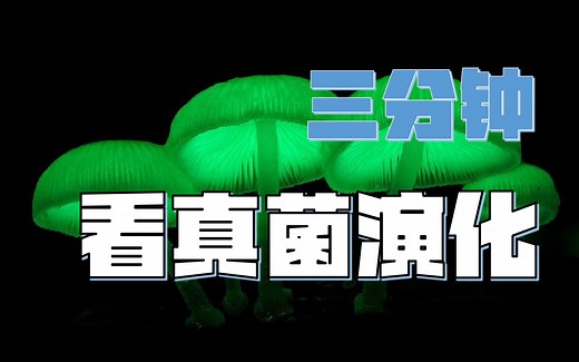三分钟：看真菌演化坎坷之路