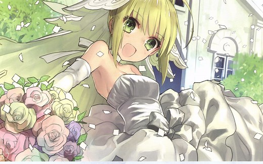 Fate Extra以及ExtraCCC官方原画设定集（从者御主武器场景等）