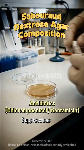 SDA Agar Explained 🍄 | Sabouraud Dextrose Agar in Microbiology 🧫 #microbiology #bacterialculture