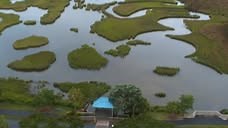 Traveling to Pawleys Island? Stay at Litchfield Beach & Golf Resort. Enjoy oceanfront accommodations, a lazy river, pools, on-site dining, and top-rated golf. Just minutes from Brookgreen Gardens, state parks, and local shops, perfect for a relaxing getaway. Book now! | Litchfield Beach & Golf | Facebook