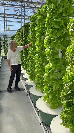 Revolutionizing Agriculture: Vertical Farming with Aeroponic Tower Gardens