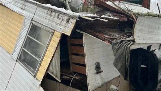 Are you liable if a tree falls on your neighbor’s property? Here’s what NH law says