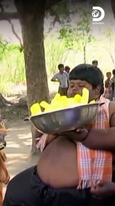 Discovery en Español on Reels