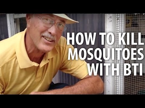 How to Kill Mosquitoes with Bti - The Dirt Doctor