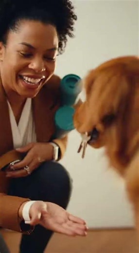 dog uses scent to find hidden keys for owner running late for work