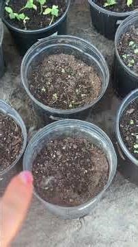 spice mixes? Milling grain to make bread?