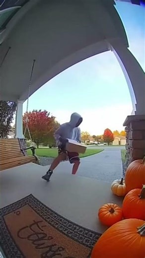 Viral Porch Pirate Video – Instant Karma 🔥 #PorchPirate #PackageTheft #DeliveryTheft