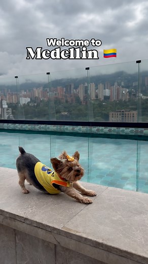 2.5K views · 4.9K reactions | Have you ever been to Colombia? or are...