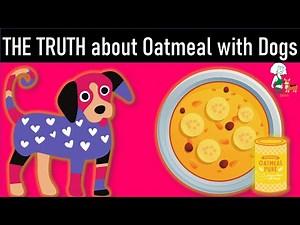 The TRUTH about OATMEAL with Dogs?🤔