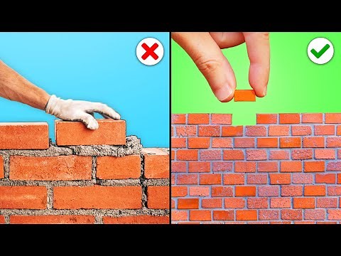 I Built an Airbnb for Birds (with reactions)