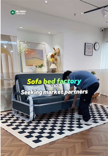 Innovative Sofa Bed Solutions for Market Partners