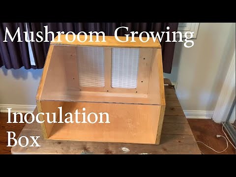 Mushroom Growing Inoculation Box, Tools and Techniques