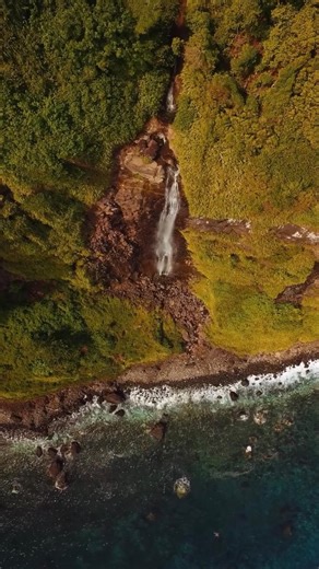 The waterfall at Bahía Iglesias is one of the most vivid reminders that Cocos Island is not just a marine sanctuary but also a living rainforest rising out of the open Pacific. As the skiff approaches the cove, you can see a continuous stream of freshwater pouring down the volcanic cliffs, fed by the island’s heavy rainfall and dense cloud forest. Fresh water is rare this far offshore, and its presence is what allows Cocos to support such rich terrestrial life—towering trees, ferns, insects, bir