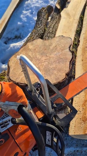 🌳🪵🍪🪚Fast wood cookie with 75cm/30" sword on the Stihl MS661C🌳🪵🍪🪚 #chainsaw #wood #woodworking #stihl