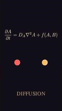 Turing Patterns: The Math Behind Leopard Spots #maths #biology #simulation #Shorts