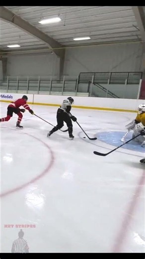 going the wrong way - Hey Stripes! The Micd Up GoPro Hockey Refcam