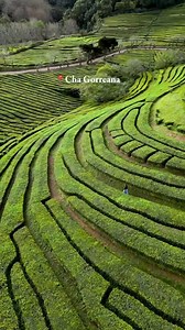 ✨ Discover the Best of the Azores in 7 Days ✨ From breathtaking lagoons and volcanic landscapes to hot springs and unique local flavors, São Miguel will steal your heart. 🌿🌋 ✅ Accommodation included ✅ Expert local guides ✅ The best highlights in one tour Book your adventure today and make the Azores your next unforgettable memory. 🌍 | Portugal Travel Center - Tours & Trips to Portugal