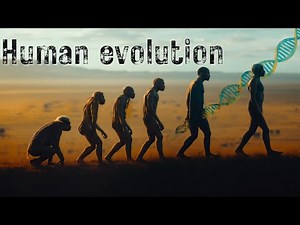 The Story of Human Evolution