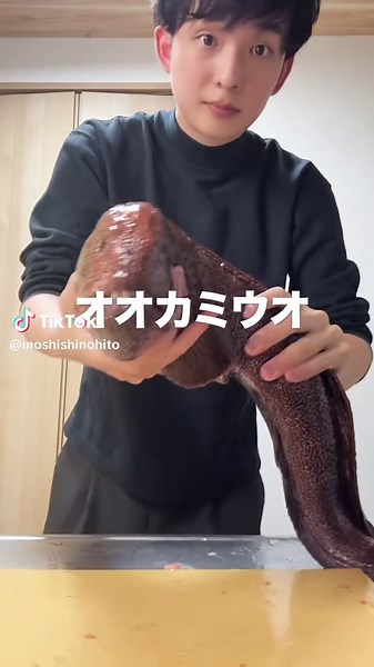 オオカミウオの魅力と料理法