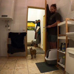 1bike1world on Instagram: "Hide and seek 🙈 Time for me to try and get Nala back for the amount of times she has been hiding somewhere and not shown face! ⠀⠀⠀⠀⠀⠀⠀⠀⠀⠀⠀⠀ Massive thank you to everyone who replied to our story today suggesting animal charities for a donation. It was a miserable day here but it gave us the chance to go through them all and write them down for the future donations. The next few weeks we will get the last of the 2020 calendar money donated out then once the final amoun