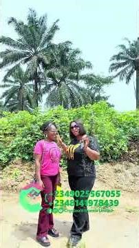 Plot Allocation ceremony in East lake Gardens estate: land for sale in Igwuruta-Ali, port harcourt