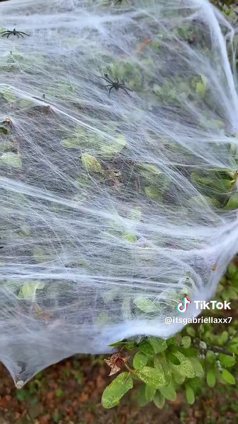 Spooky Season Celebrations with ItsGabriella