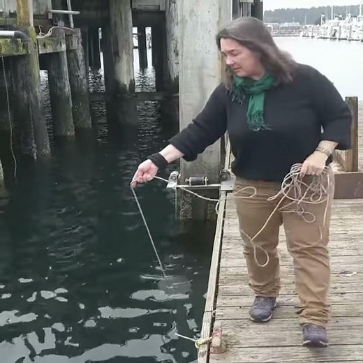 Plankton Tow Pillar Point