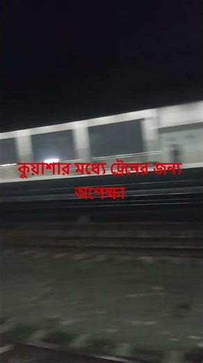 কুয়াশার মধ্যে ট্রেনের জন্য অপেক্ষা