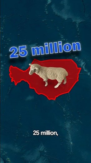 This Country Has More Sheep Than Humans