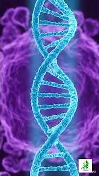 Nucleus – The Brain of the Cell | Easy Biology Explanation #nucleus #biology #thelifescienceeducator