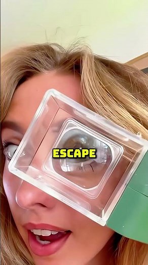 The Most Humane Bug Catcher Ever