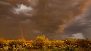 WebsiteHeaderMonsoonFootage