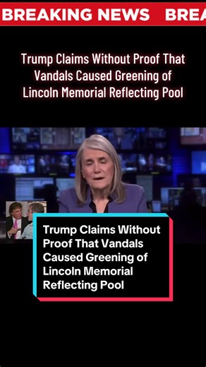 President Trump, without offering any evidence, has claimed that vandals are responsible for turning the newly renovated Lincoln Memorial Reflecting Pool green instead of dark blue. Last week, The Washington Post reported that the reflecting pool contained more algae than at any recorded point in June over the past five years. In addition, a newly painted blue liner has begun to peel. In recent days, authorities have arrested several people for touching parts of the reflecting pool, including Da