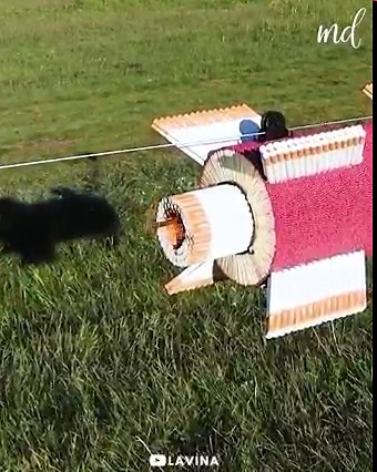 4.3M views · 5K reactions | DIY Rocket from matches & cigarettes | MetDaan Creative | Facebook