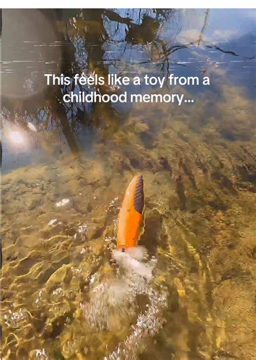 Experience the Joy of a Pocket-Sized Mini RC Boat